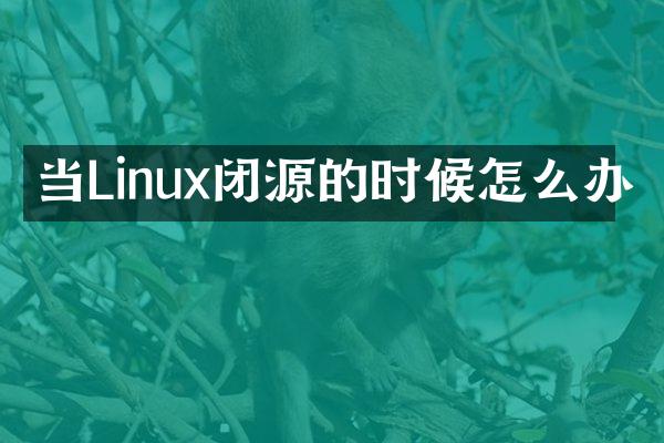当Linux闭源的时候怎么办