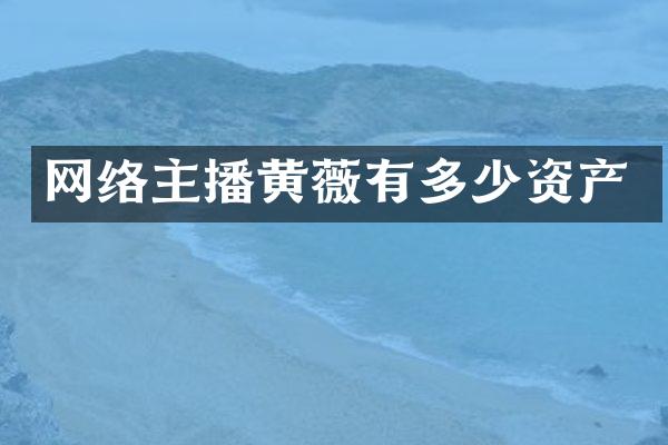 网络主播黄薇有多少资产