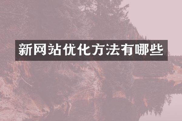 新网站优化方法有哪些