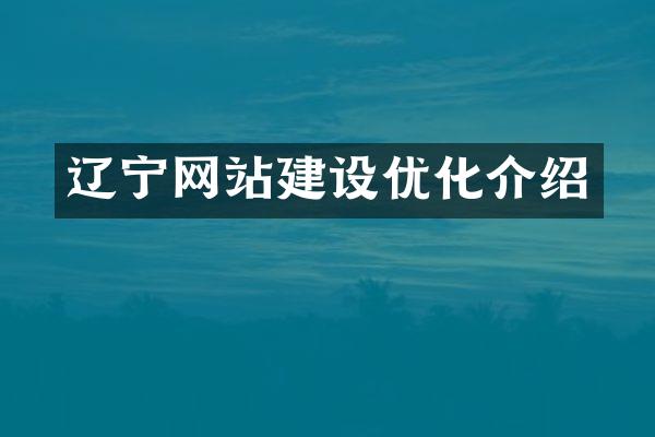 辽宁网站建设优化介绍