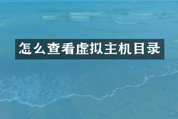 怎么查看虚拟主机目录