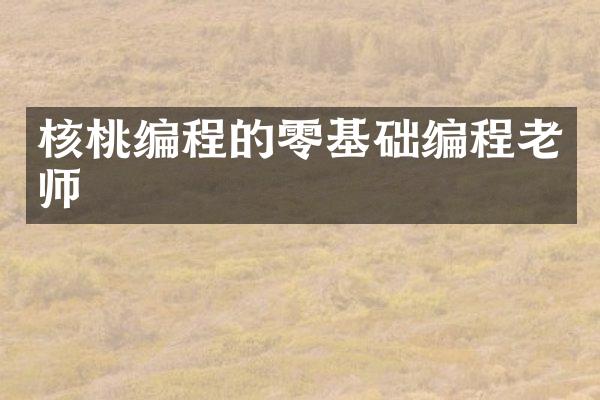 核桃编程的零基础编程老师