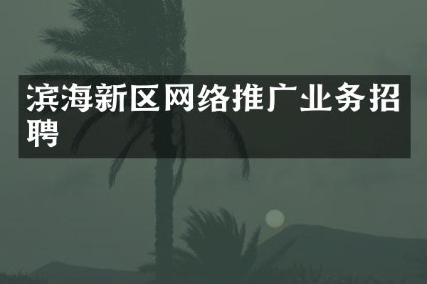 滨海新区网络推广业务招聘