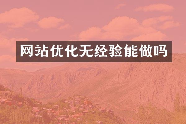 网站优化无经验能做吗