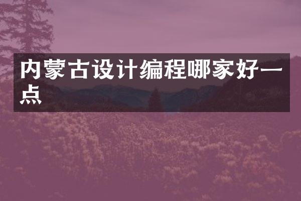 内蒙古设计编程哪家好一点