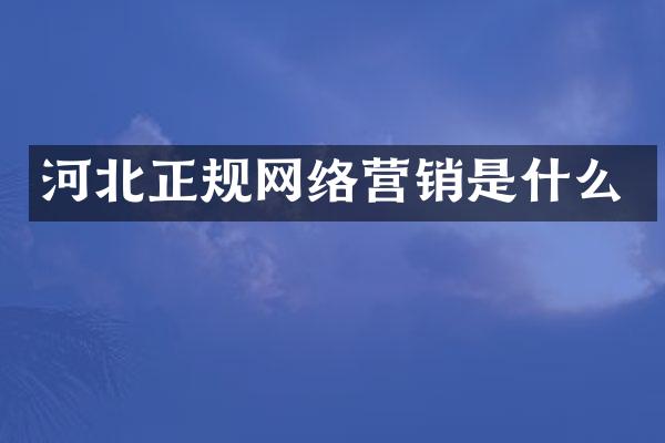 河北正规网络营销是什么