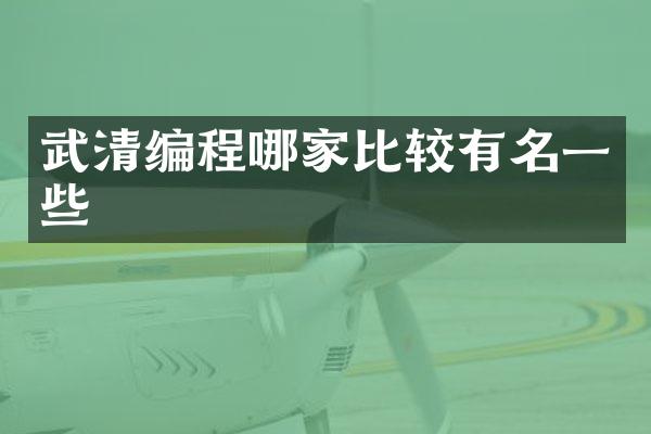 武清编程哪家比较有名一些
