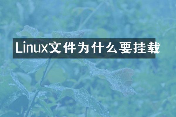 Linux文件为什么要挂载