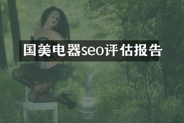 国美电器seo评估报告