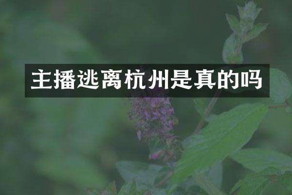 主播逃离杭州是真的吗