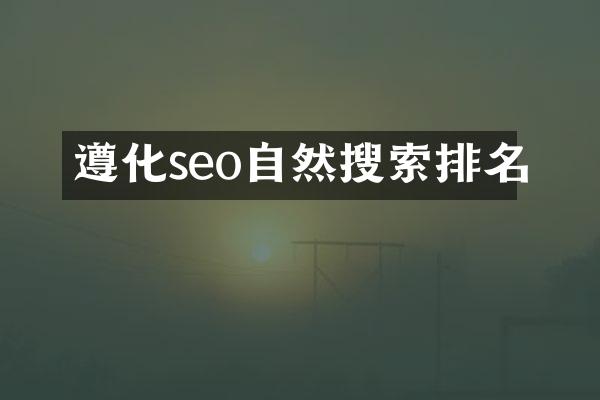 遵化seo自然搜索排名