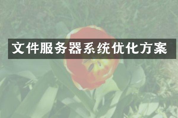 文件服务器系统优化方案