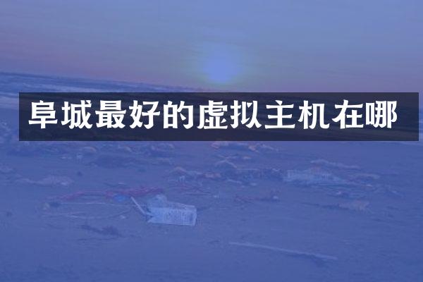 阜城最好的虚拟主机在哪