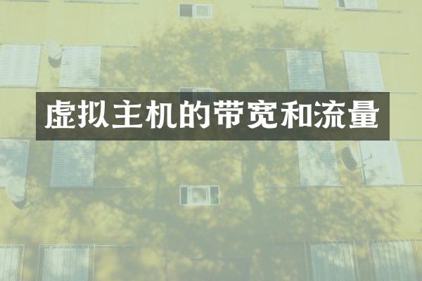虚拟主机的带宽和流量