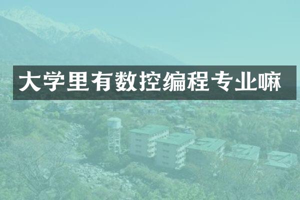 大学里有数控编程专业嘛