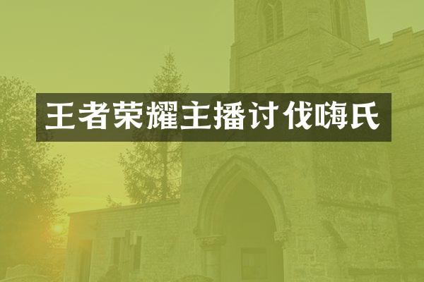 王者荣耀主播讨伐嗨氏