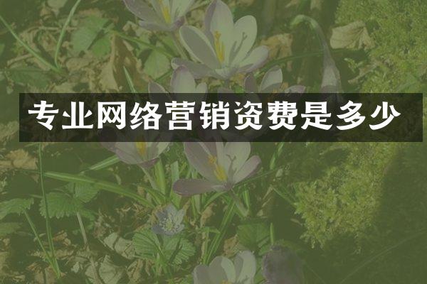 专业网络营销资费是多少