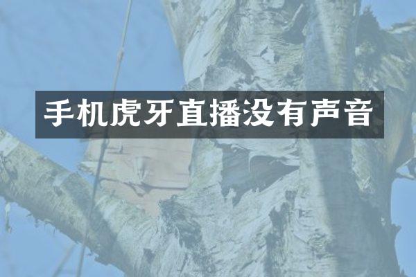 手机虎牙直播没有声音
