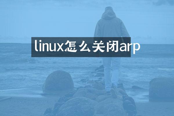 linux怎么关闭arp