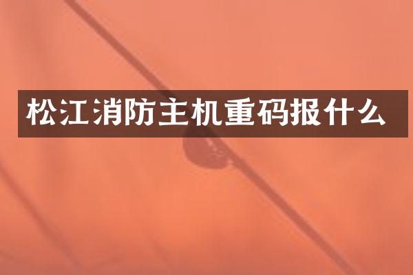 松江消防主机重码报什么