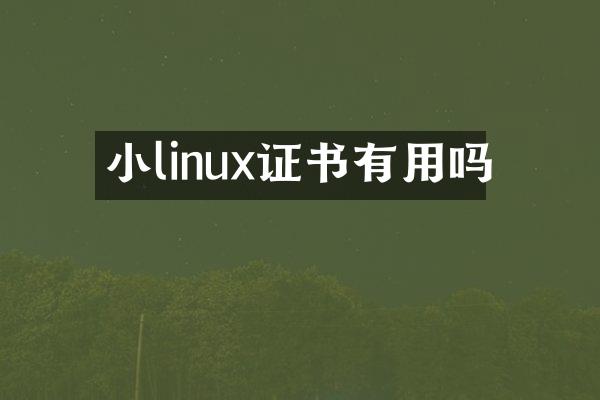小linux证书有用吗