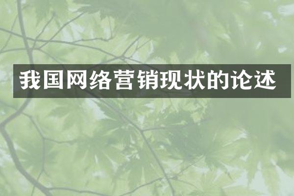我国网络营销现状的论述