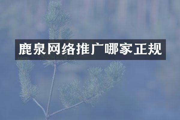鹿泉网络推广哪家正规