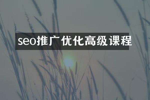 seo推广优化高级课程