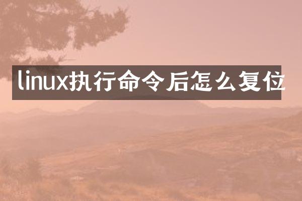 linux执行命令后怎么复位