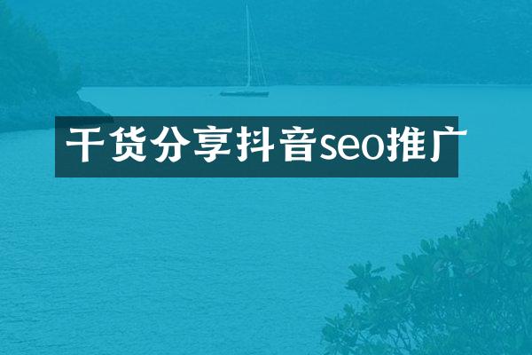 干货分享抖音seo推广
