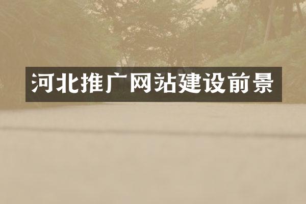 河北推广网站建设前景