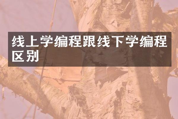 线上学编程跟线下学编程区别