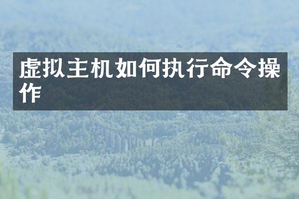 虚拟主机如何执行命令操作