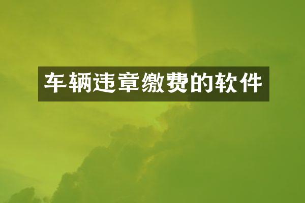 车辆违章缴费的软件