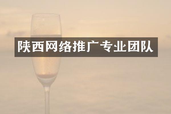 陕西网络推广专业团队