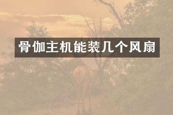 骨伽主机能装几个风扇