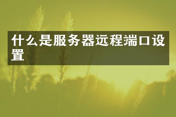 什么是服务器远程端口设置