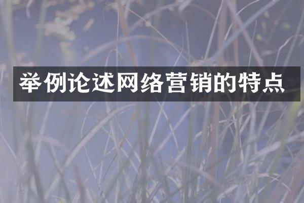 举例论述网络营销的特点