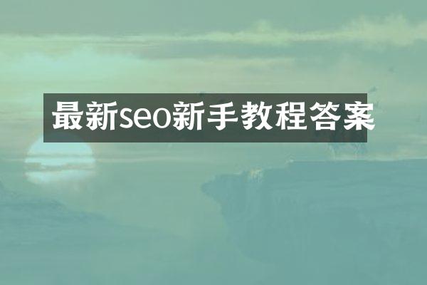 最新seo新手教程答案
