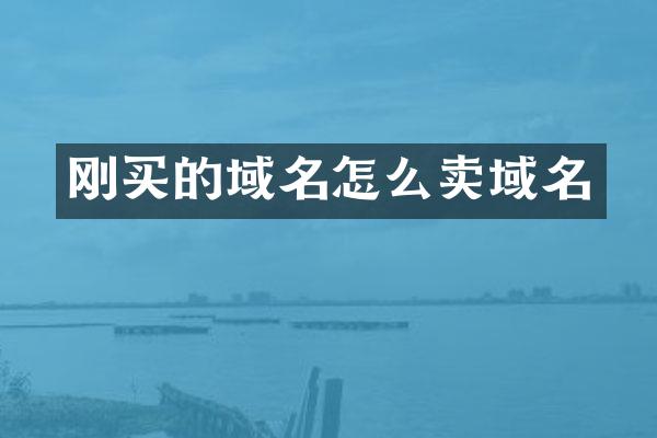 刚买的域名怎么卖域名