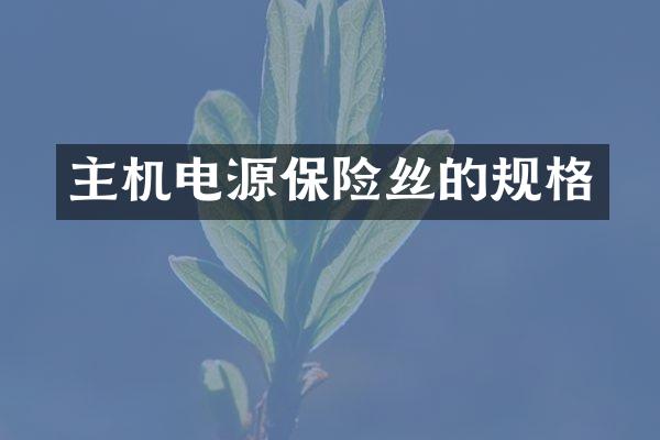 主机电源保险丝的规格