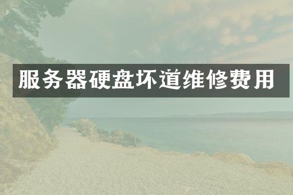 服务器硬盘坏道维修费用