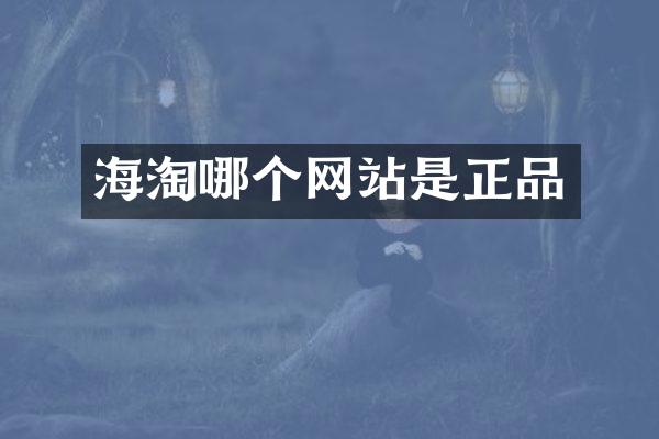 海淘哪个网站是正品