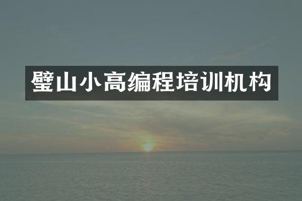 璧山小高编程培训机构
