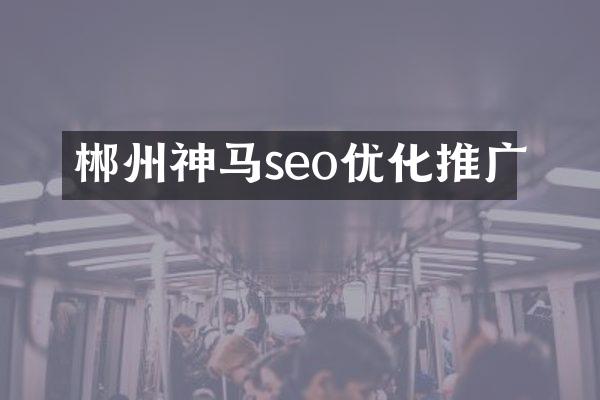 郴州神马seo优化推广