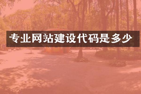 专业网站建设代码是多少
