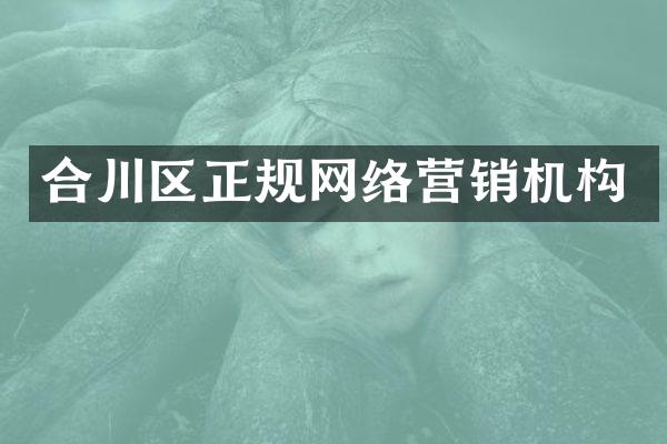 合川区正规网络营销机构