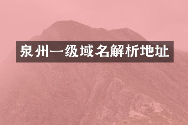 泉州一级域名解析地址