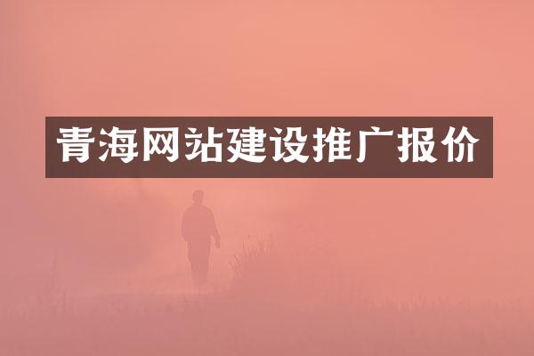 青海网站建设推广报价
