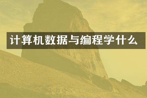 计算机数据与编程学什么
